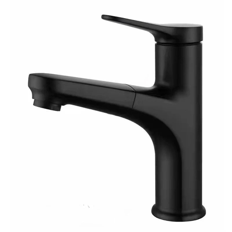 Single Handle Pull Out Spray Bathroom Tap_Black