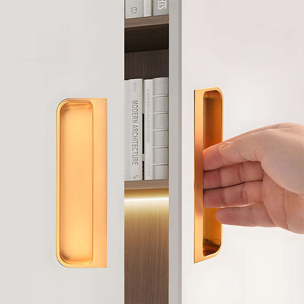 Simple Sliding Door Handles Flush Finger Pulls