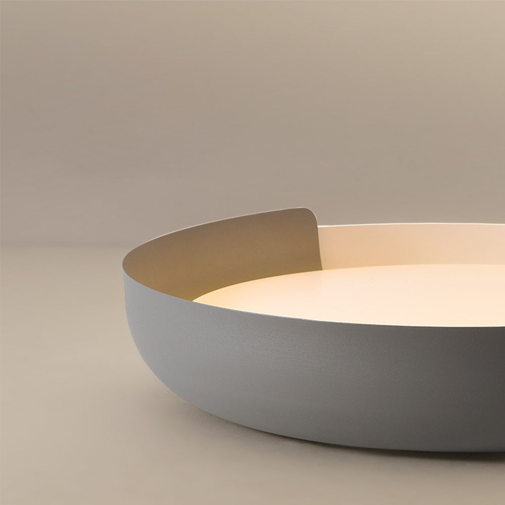 Flush Mount Ceiling Light