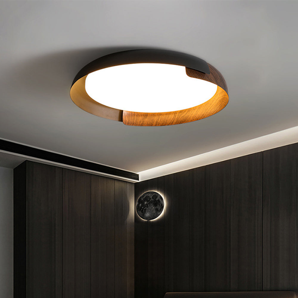 Flush Mount Ceiling Light