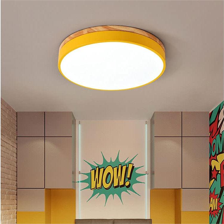 Round Flush Ceiling Lights for Living Room