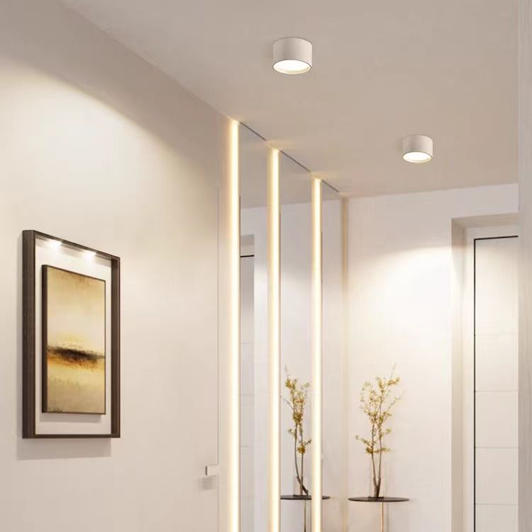 Nordic Small Flush Mount Ceiling Lights