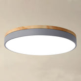 Round Flush Ceiling Lights for Living Room