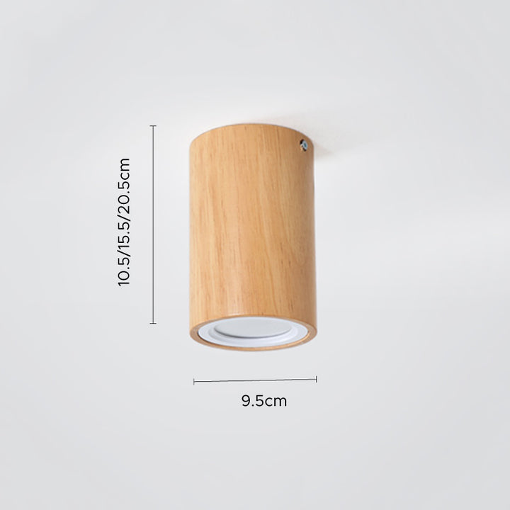 Small Corridor LED Ceiling Light