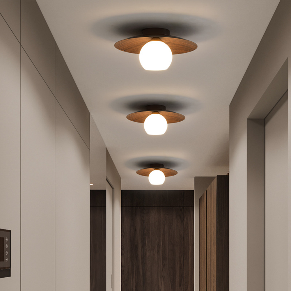 Goldenwarm Modern Simple Living Room Ceiling Light Hallway Ceiling