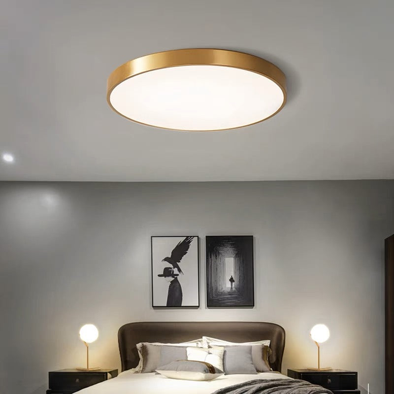 Simple Round Flush Mount LED Ceiling Lights