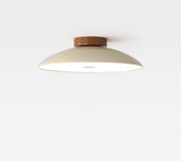Simple Iron Aisle Ceiling Lamp