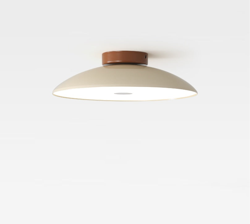 Simple Iron Aisle Ceiling Lamp
