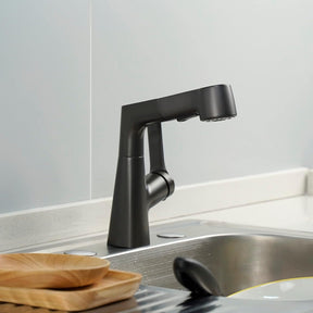 Single-Hole Rotatable Pull-Out Tap_Black