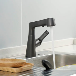 Single-Hole Rotatable Pull-Out Tap_Black