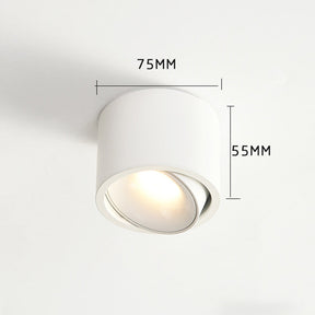 Minimalist Aluminum LED Ceiling Downlights For Hallway
