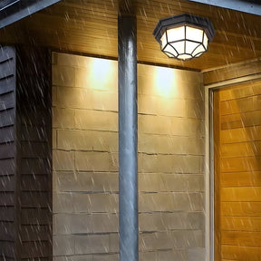 Industrial IP65 Outdoor Flush Mount Porch Ceiling Light