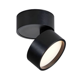 Modern Mini Surface Mounted Adjustable Ceiling Lamp