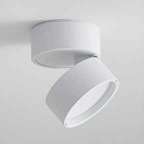 Modern Mini Surface Mounted Adjustable Ceiling Lamp