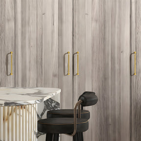 Modern Threaded Wardrobe Kitchen Cabinet Handles