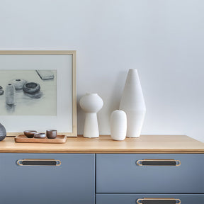 Two-color Zinc Alloy Modern Bedroom Cabinet Handles