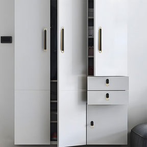 Two-color Zinc Alloy Modern Bedroom Cabinet Handles