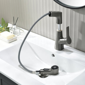 Single-Hole Rotatable Pull-Out Tap_Gray