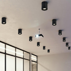 Simple Contemporary LED Round Ceiling Lights