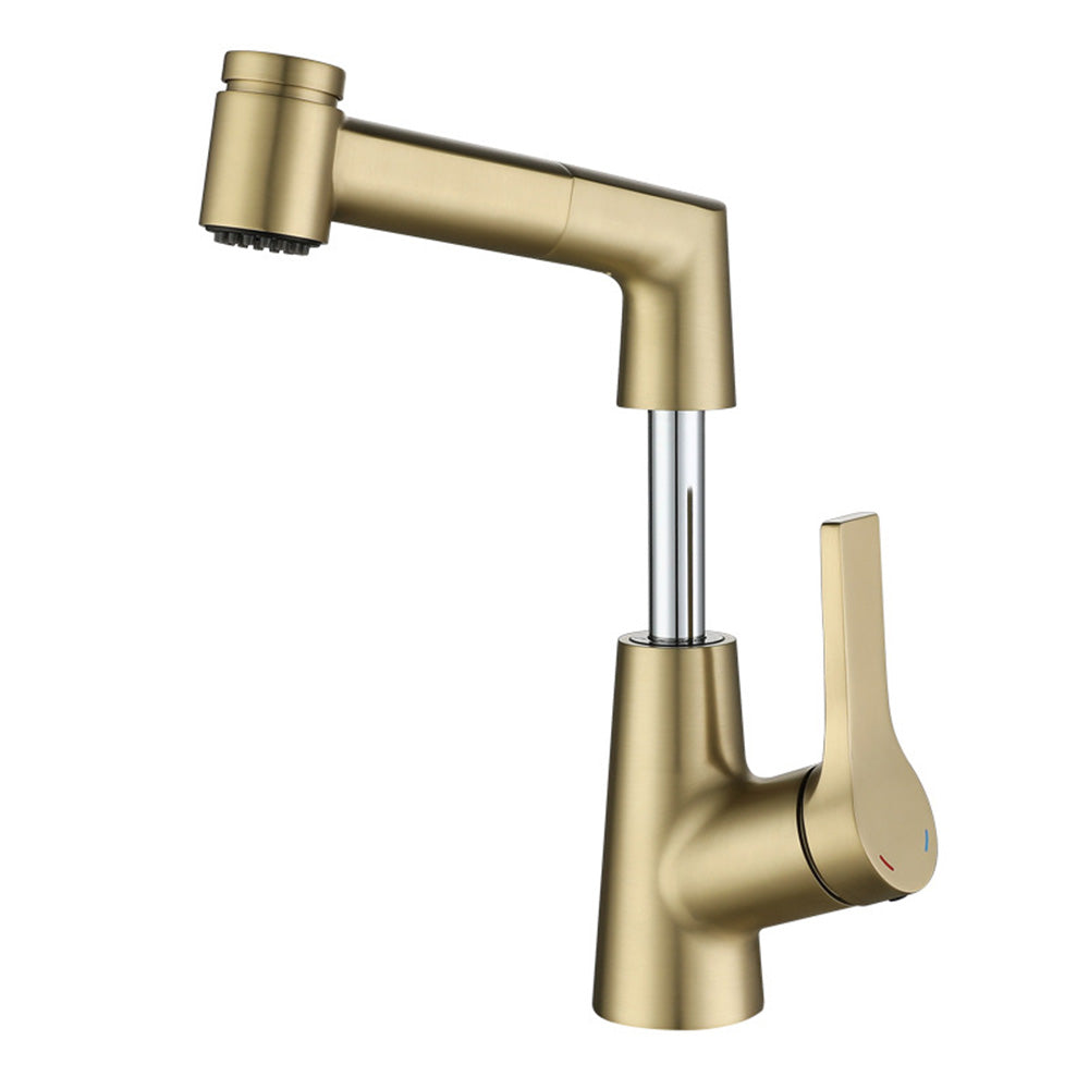 Height Adjustable Pull Out Bathroom Tap_Gold