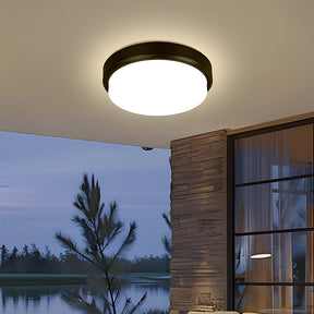 Multifunctional Outdoor Waterproof Wall Ceiling Light