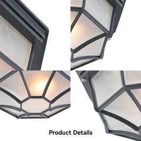 Industrial IP65 Outdoor Flush Mount Porch Ceiling Light