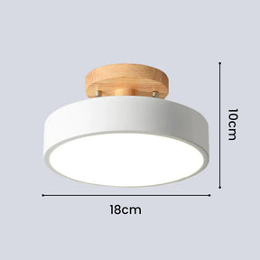 Colorful Semi-flush LED Ceiling Lights