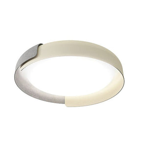 Flush Mount Ceiling Light