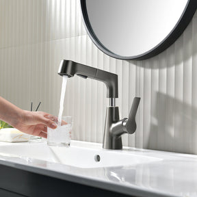 Single-Hole Rotatable Pull-Out Tap_Gray