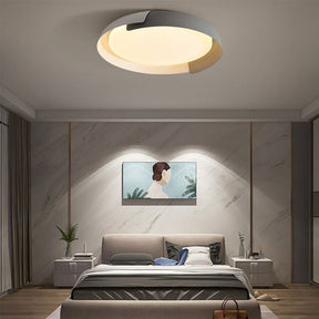 Flush Mount Ceiling Light