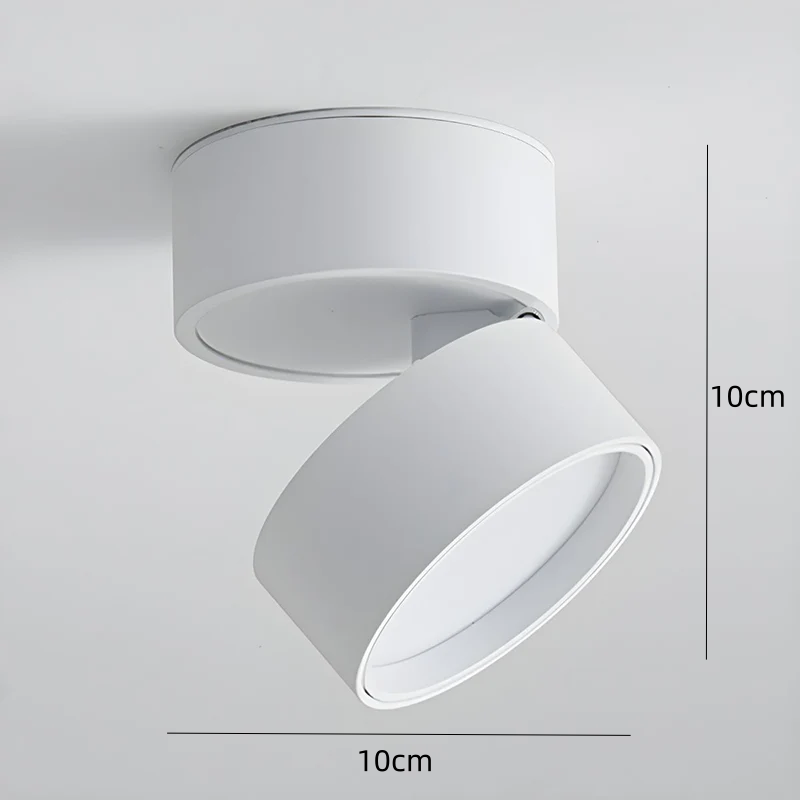 Modern Mini Surface Mounted Adjustable Ceiling Lamp
