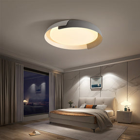 Flush Mount Ceiling Light