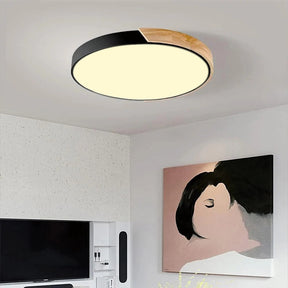 Colorful Simple LED Round Ceiling Lights