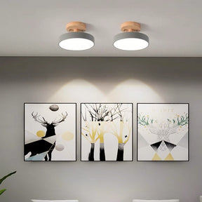 Colorful Semi-flush LED Ceiling Lights