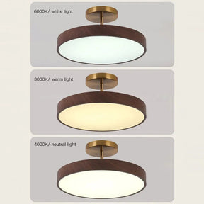 LED Semi-Flush Ceiling Lamp