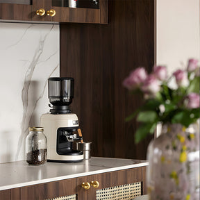 Retro Shell Solid Brass Wardrobe Cabinet Cup Pulls