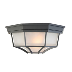 Industrial IP65 Outdoor Flush Mount Porch Ceiling Light