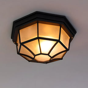 Industrial IP65 Outdoor Flush Mount Porch Ceiling Light