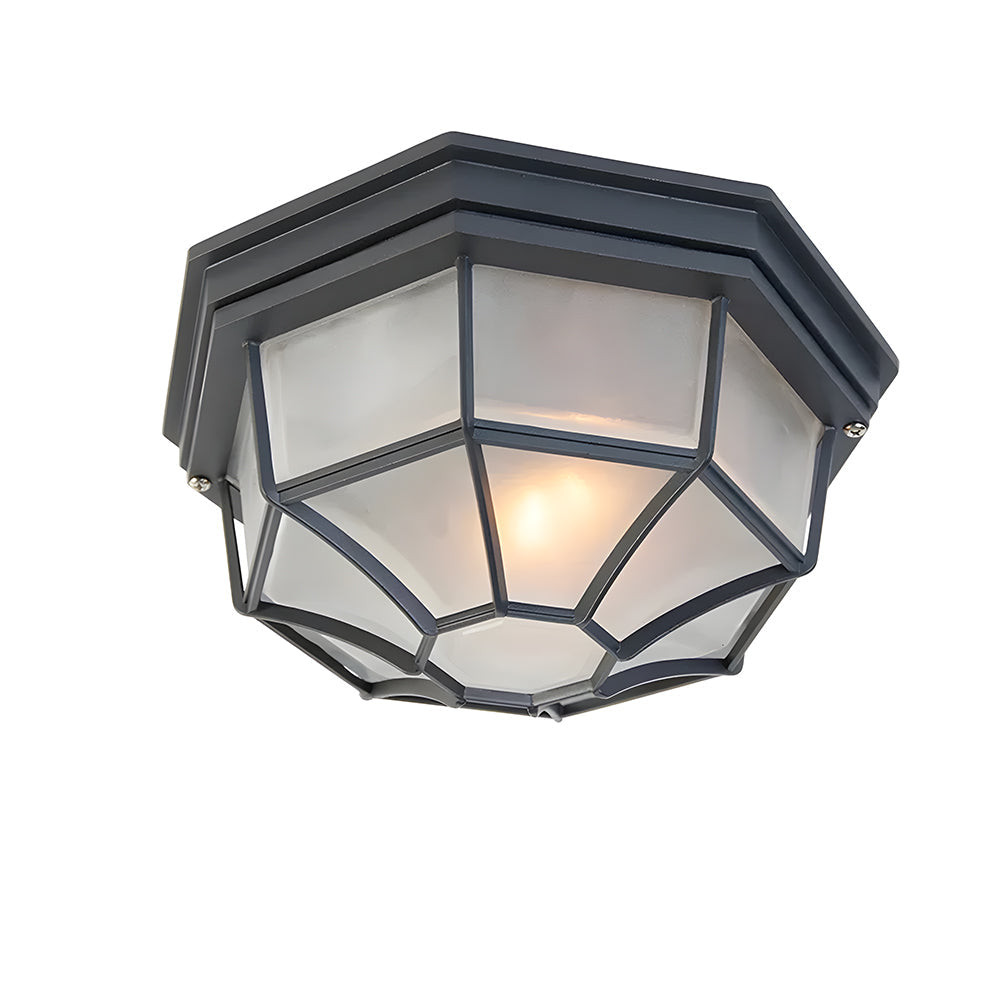 Industrial IP65 Outdoor Flush Mount Porch Ceiling Light