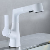 Single-Hole Rotatable Pull-Out Tap_White