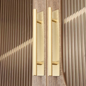 Brass Gold Door Cabinet Pulls with Backplate