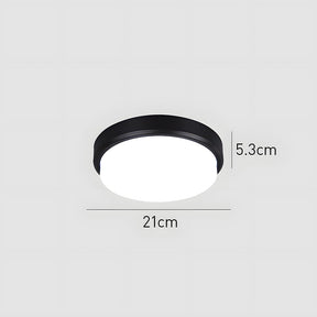 Multifunctional Outdoor Waterproof Wall Ceiling Light