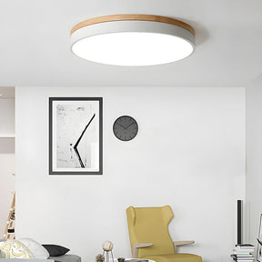 Round Flush Ceiling Lights for Living Room