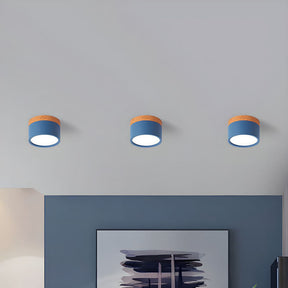 Macaron Metal Kitchen Bar Flush Mount Modern Ceiling Lights