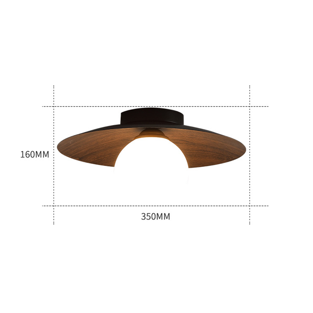 Modern Minimalist Entrance Ceiling Light