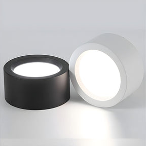 Nordic Small Flush Mount Ceiling Lights