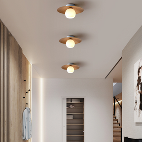 Modern Minimalist Entrance Ceiling Light