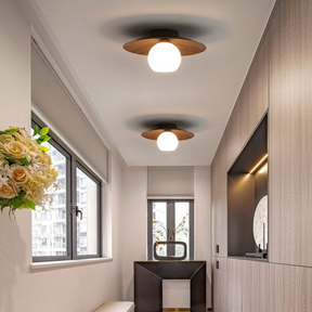 Modern Minimalist Entrance Ceiling Light