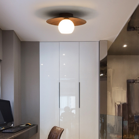 Modern Minimalist Entrance Ceiling Light