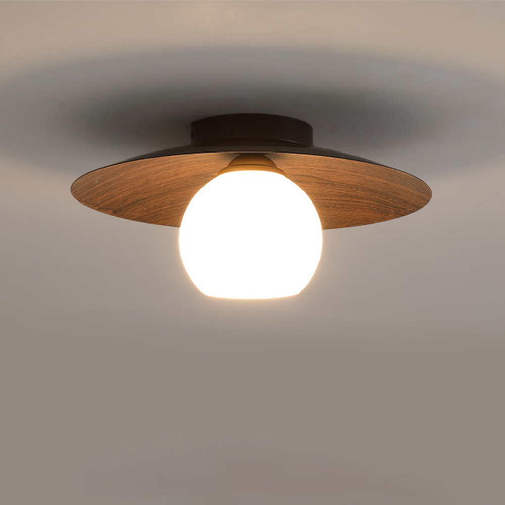 Modern Minimalist Entrance Ceiling Light